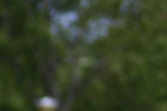 Rockfrisbee-turnauksen järjestäjiin lukeutuva Jari 