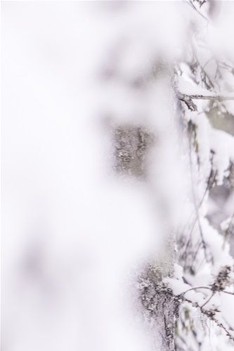 Mahria Sirenin ensimmäiset musiikkivideot on kuvattu hänen kotikuntansa Keminmaan lumisissa olosuhteissa. Kuva: Jarno Vuorinen.